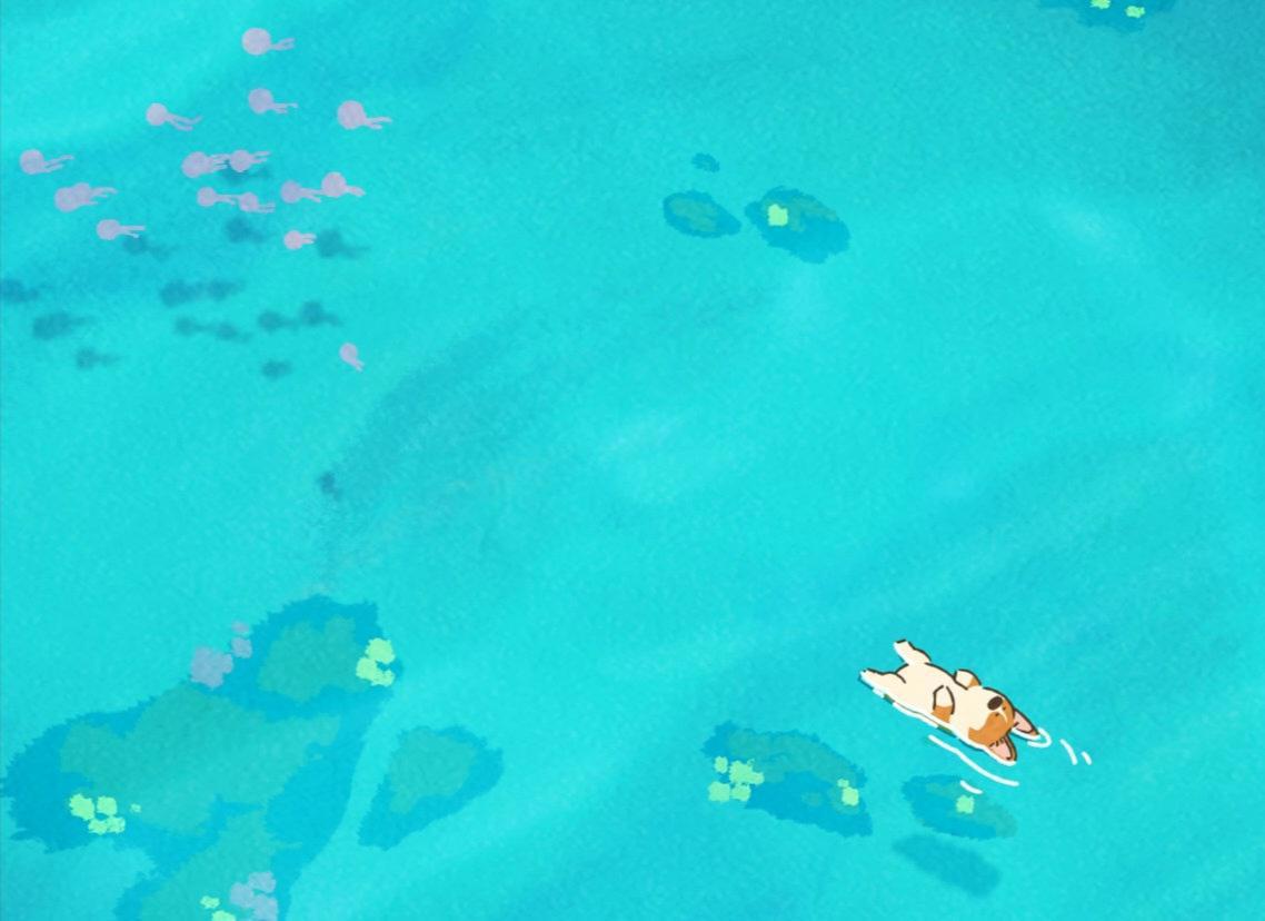 stean柯基小动漫，太治愈了！