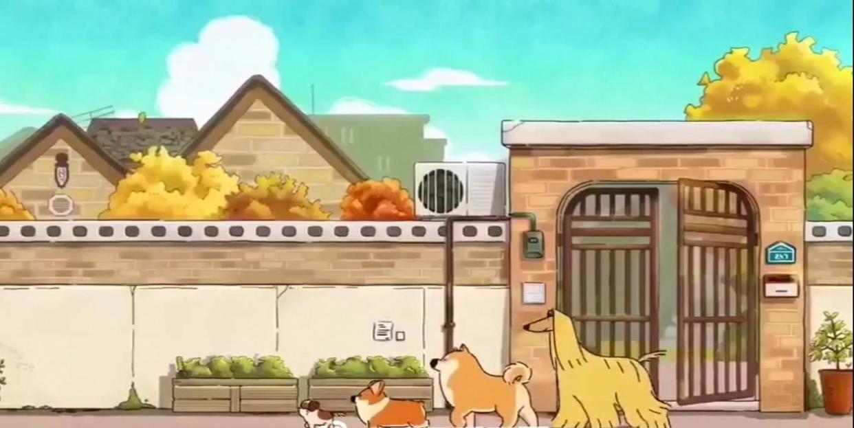 stean柯基小动漫，太治愈了！