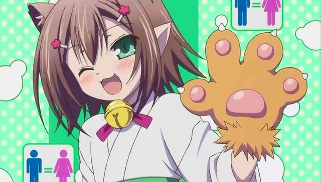 打开新世界大门的四部动漫，点击之前要三思而行