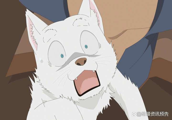 名侦探柯南零的日常：最终回“TIME.6”安室透养小狗