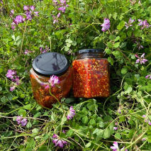 非凡的公主希瑞第七十八集