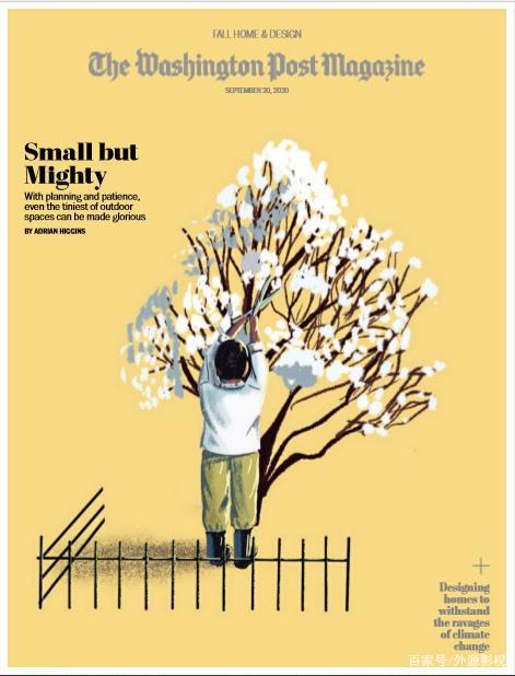 今日影视推荐：福尔摩斯小姐