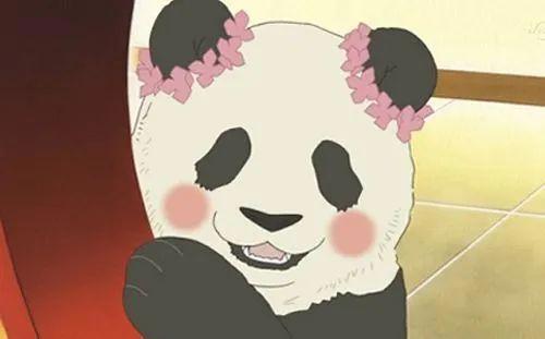 日媒投票：动画中出现的熊猫角色人气排行，娘化不如本体系列