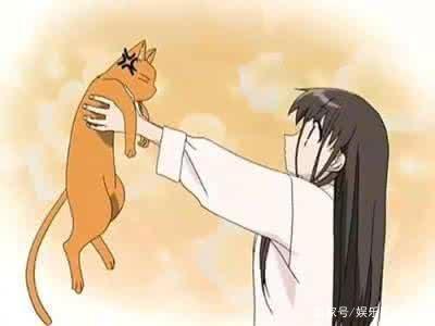 《水果篮子》时隔18年再上映，有生之年系列！但这一次会有结局