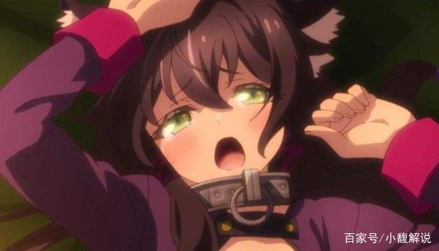 盘点B站最受嘲讽，有最受宠溺的萝莉，网友：都是朕的后宫番！