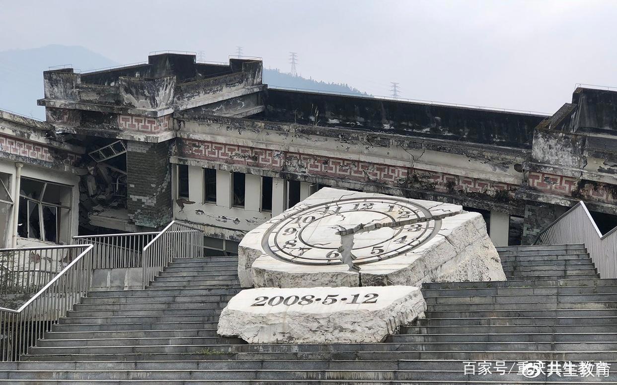 「活动回顾」四川卧龙“熊猫总动员”——做熊猫义工志愿者