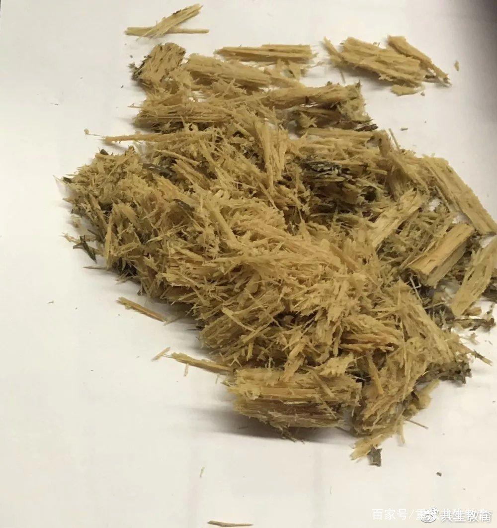 「活动回顾」四川卧龙“熊猫总动员”——做熊猫义工志愿者