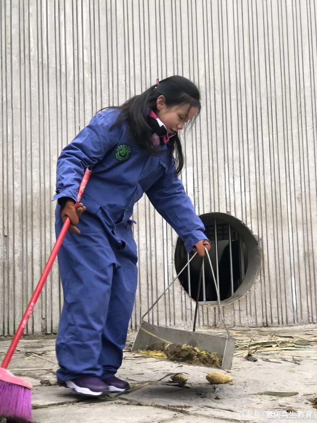 「活动回顾」四川卧龙“熊猫总动员”——做熊猫义工志愿者