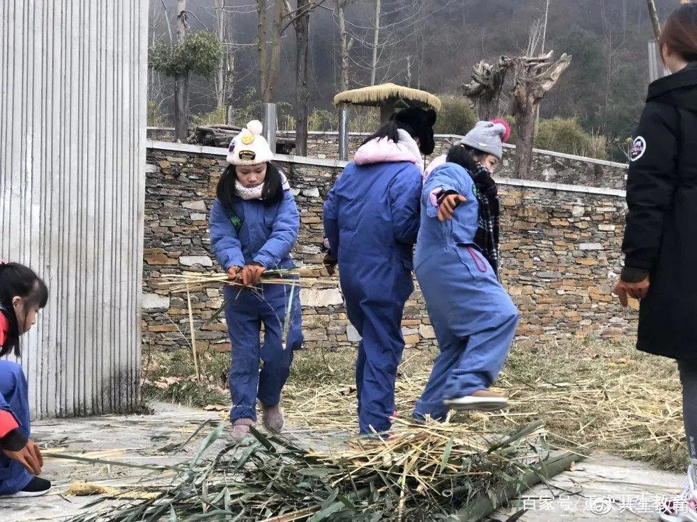 「活动回顾」四川卧龙“熊猫总动员”——做熊猫义工志愿者