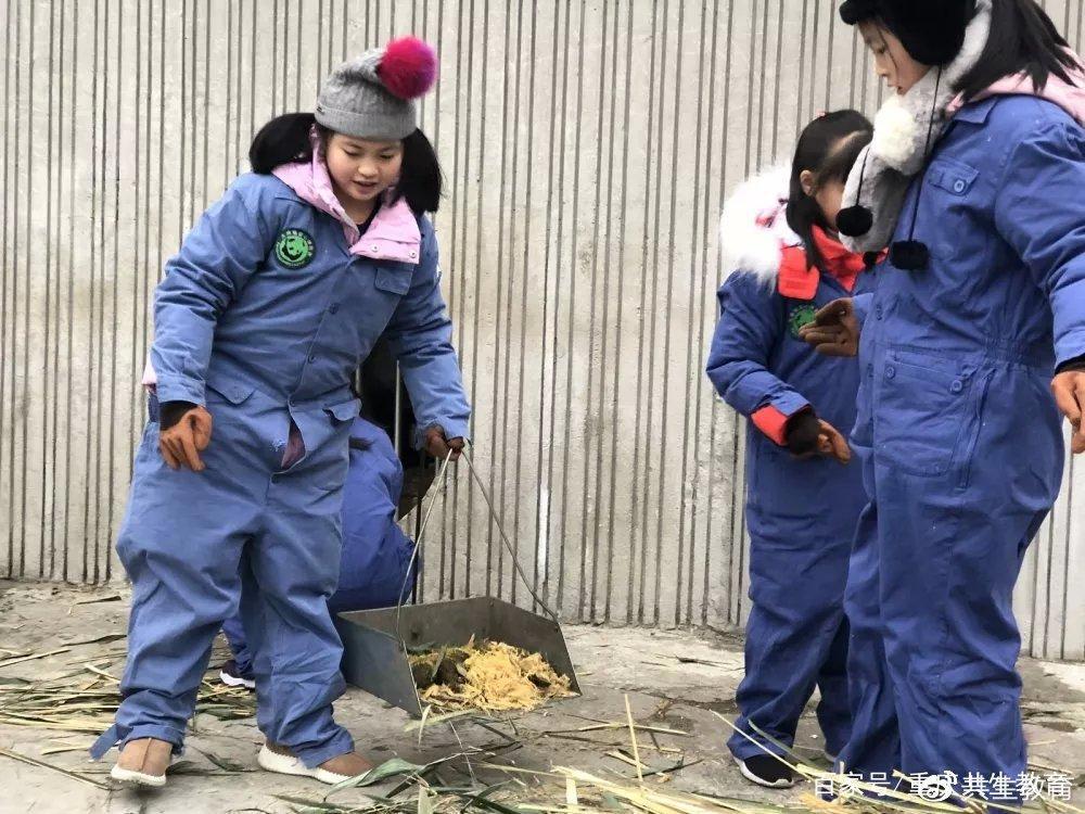 「活动回顾」四川卧龙“熊猫总动员”——做熊猫义工志愿者