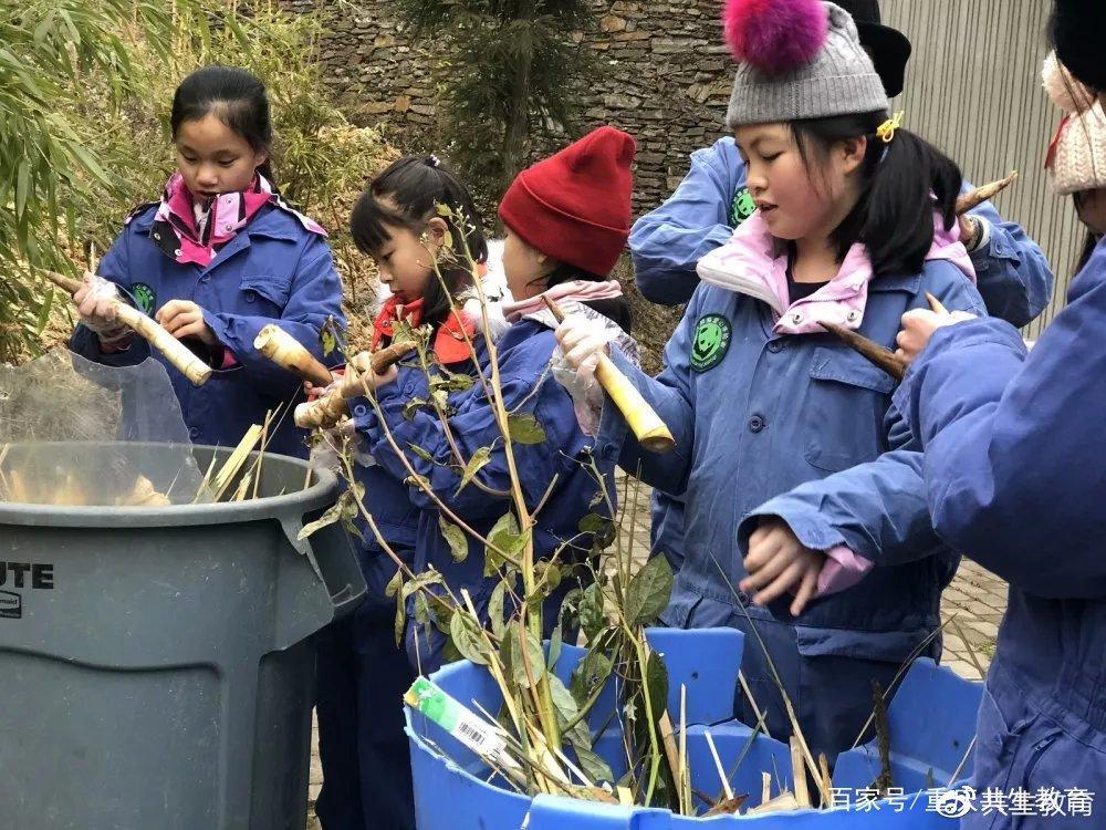 「活动回顾」四川卧龙“熊猫总动员”——做熊猫义工志愿者