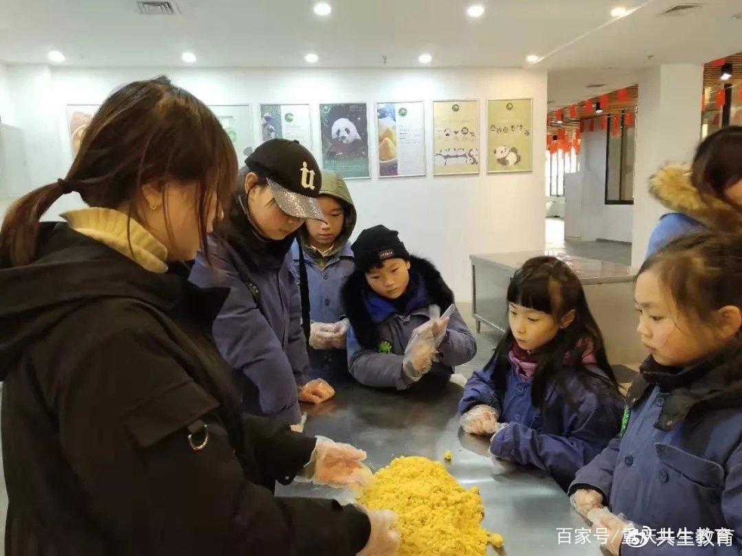 「活动回顾」四川卧龙“熊猫总动员”——做熊猫义工志愿者