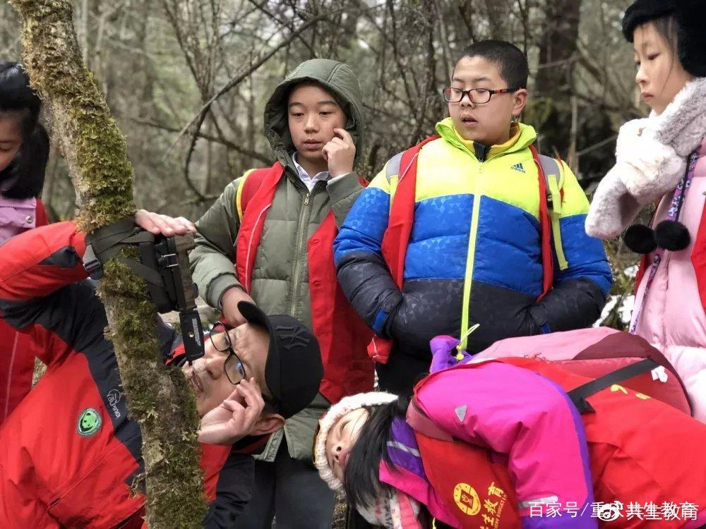 「活动回顾」四川卧龙“熊猫总动员”——做熊猫义工志愿者