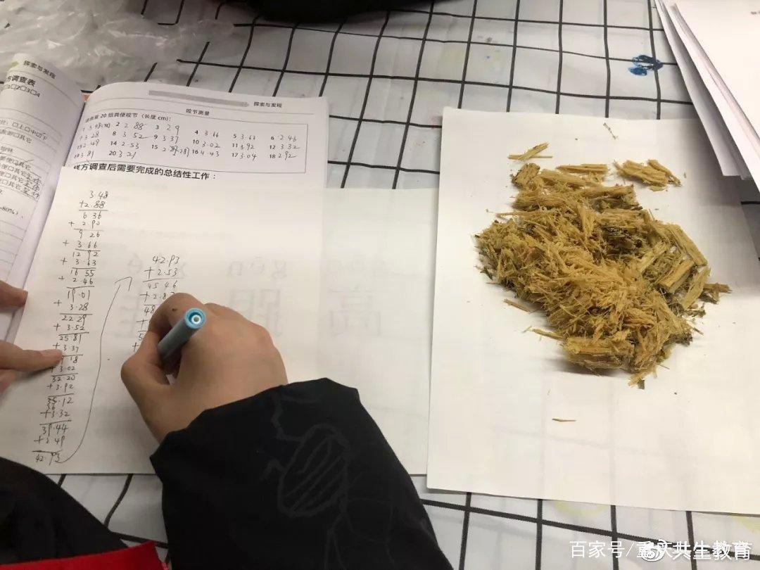 「活动回顾」四川卧龙“熊猫总动员”——做熊猫义工志愿者