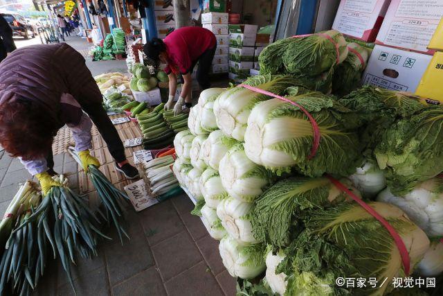 一棵62元人民币！韩国大白菜一棵比2019年上涨40%堪比吃“钻石”