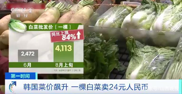 一棵大白菜24元！菜价飙升，当地民众叫苦不迭……咋回事？