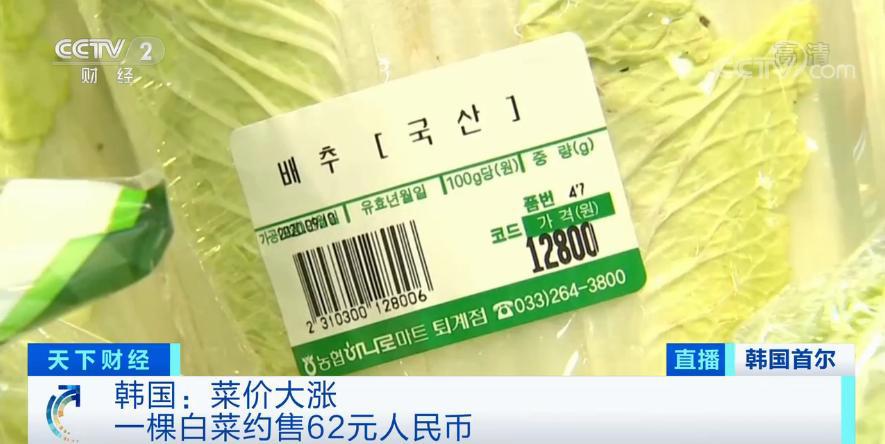 泡菜都腌不起了？一棵大白菜卖出62元“天价”！这里240家工厂停工、餐厅的免费泡菜也没了……