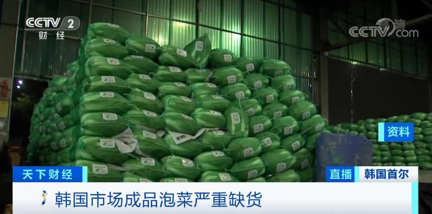 泡菜都腌不起了？一棵大白菜卖出62元“天价”！这里240家工厂停工、餐厅的免费泡菜也没了……