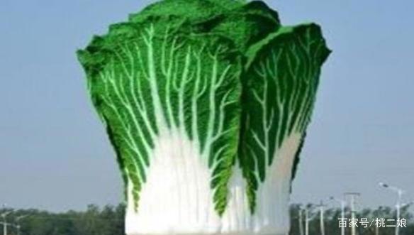 山东“最另类”建筑，高20米，重13吨，酷似一棵“大白菜”
