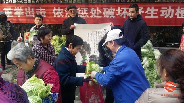 冬日里的这一棵棵大白菜，其实都是满满的爱……