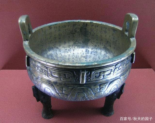 一棵大白菜，为何滋养了一个民族的胃口和精神？