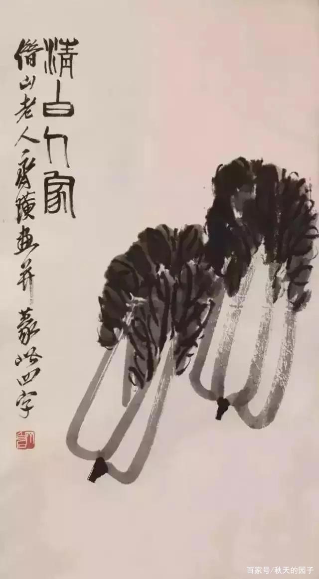 一棵大白菜，为何滋养了一个民族的胃口和精神？