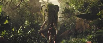 下半年超级英雄与IP续集“霸占”大银幕