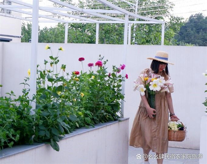 北京延庆大树与猫精品民宿，10个院子构成，艺术猫公馆与生态农场