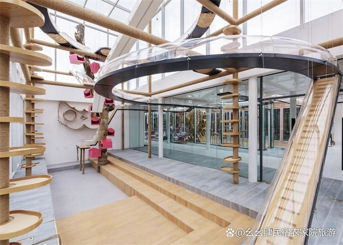 北京延庆大树与猫精品民宿，10个院子构成，艺术猫公馆与生态农场