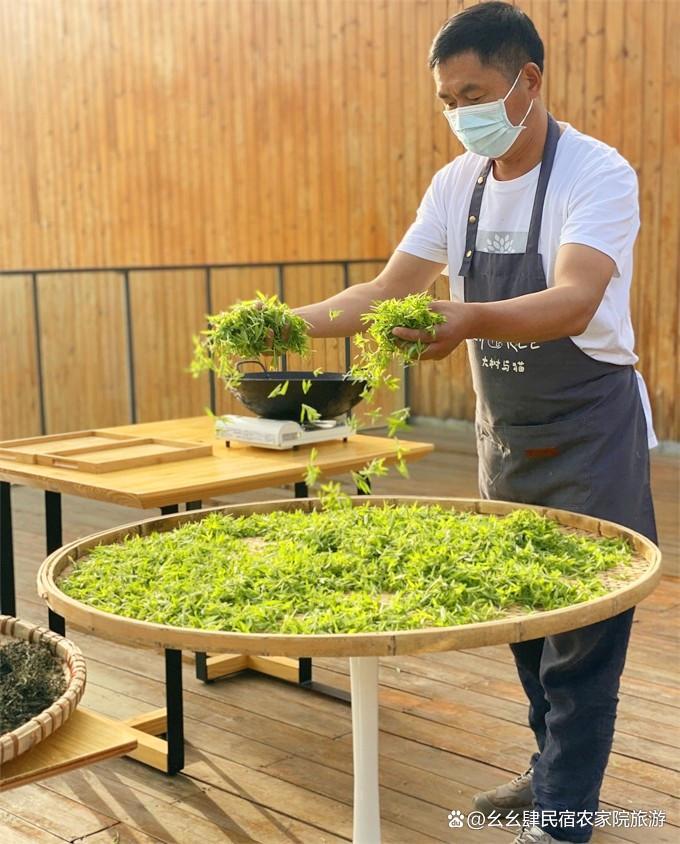 北京延庆大树与猫精品民宿，10个院子构成，艺术猫公馆与生态农场