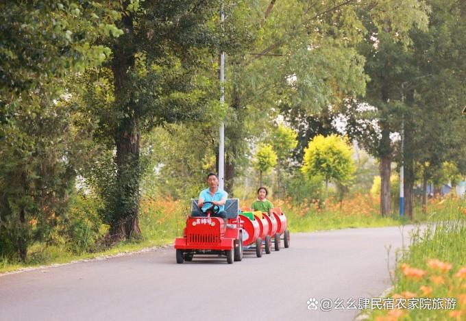 北京延庆大树与猫精品民宿，10个院子构成，艺术猫公馆与生态农场