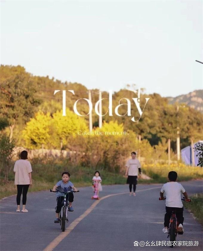 北京延庆大树与猫精品民宿，10个院子构成，艺术猫公馆与生态农场