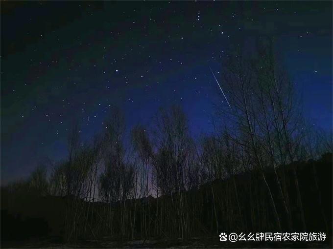 北京延庆大树与猫精品民宿，10个院子构成，艺术猫公馆与生态农场