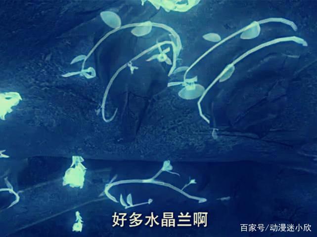 熊出没：“官方玩梗最为致命”，熊大亲口吐槽：难道这是最后一集