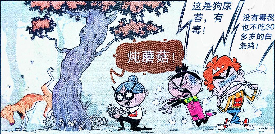 为什么蘑菇不能乱吃？就让衰奶奶用黑暗料理揭晓答案！