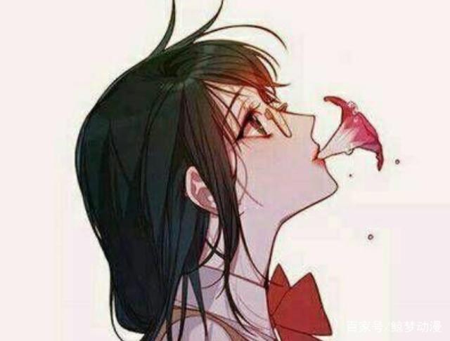 4本动漫迷喜欢的网络漫画小说，书虫的私藏，百看不厌