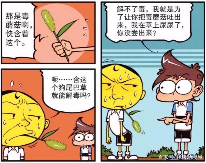 星太奇：越好看的蘑菇越有毒，奋豆误食毒蘑菇在解毒时被针穿透