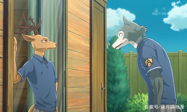 动物狂想曲：狼爱上了兔子，这种追求的心情到底是恋爱还是本能？