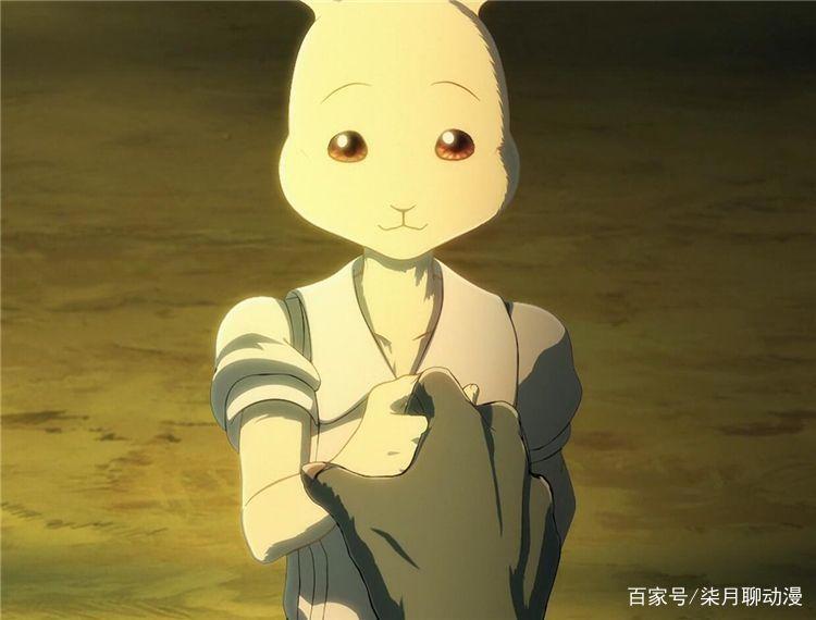 动物狂想曲：狼爱上了兔子，这种追求的心情到底是恋爱还是本能？