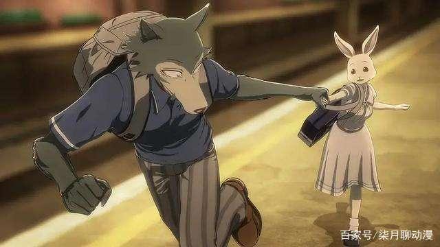 动物狂想曲：狼爱上了兔子，这种追求的心情到底是恋爱还是本能？