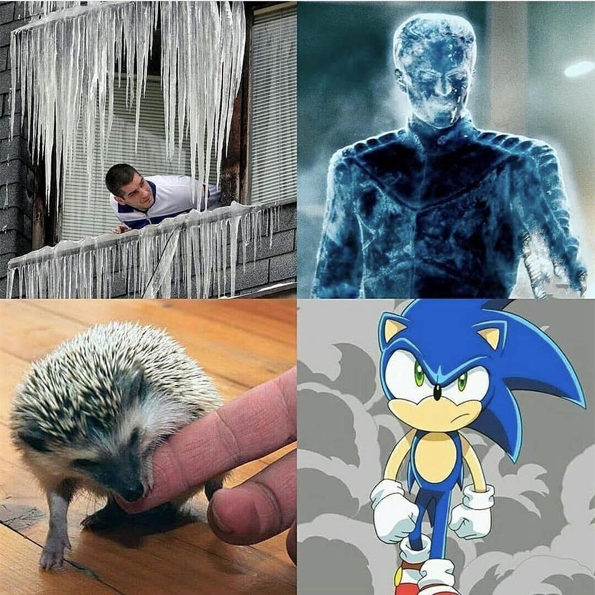 被动物咬了就能变身超级英雄，美漫的英雄套路被网友恶搞了一番