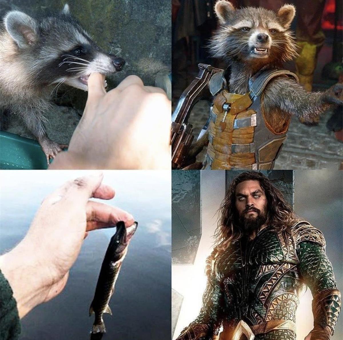 被动物咬了就能变身超级英雄，美漫的英雄套路被网友恶搞了一番