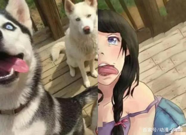 当现实的小动物“破壁”变成二次元，猫娘果然是阿宅最喜欢的妹子