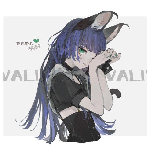 当现实的小动物“破壁”变成二次元，猫娘果然是阿宅最喜欢的妹子