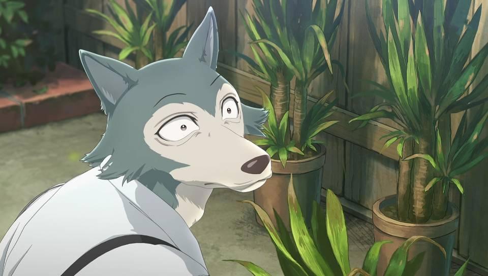 动物狂想曲：备受争议的春到底是只怎样的迷你兔？只有雷格西知道