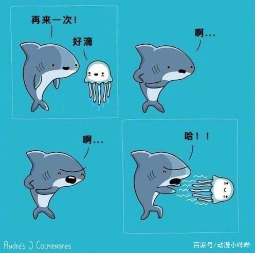 充满治愈的小漫画，越看越可爱，没想到鲨鱼隐藏着满满“中二魂”