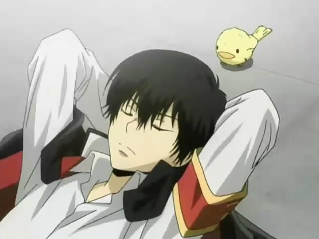 活的不如动物系列，动漫里有些小动物，实在是让人羡慕嫉妒恨