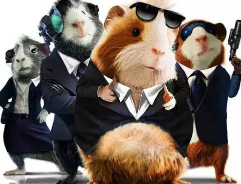 【君君电影院】6部真人动画电影伴你成长