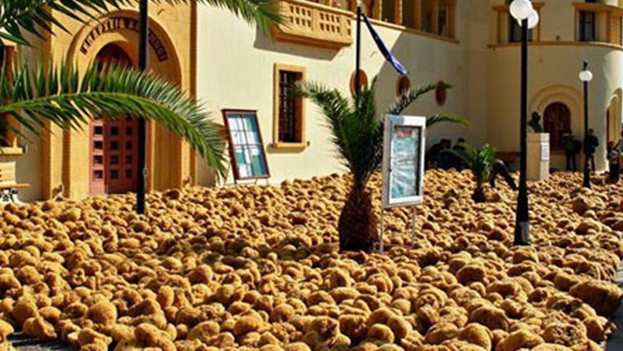 海里没有海绵？那《海绵宝宝》哪里来的？动画片主角真的存在吗？