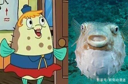 动漫：海绵宝宝中的5位角色原形，章鱼哥高傲，最后一位神还原！